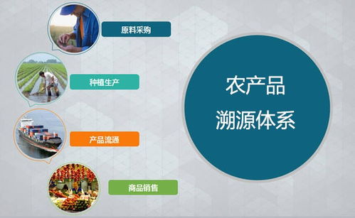 三維碼誠信溯源超市 以物聯網技術賦能農產品溯源，驅動智慧農業新未來